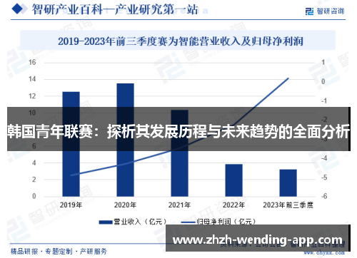 韩国青年联赛：探析其发展历程与未来趋势的全面分析