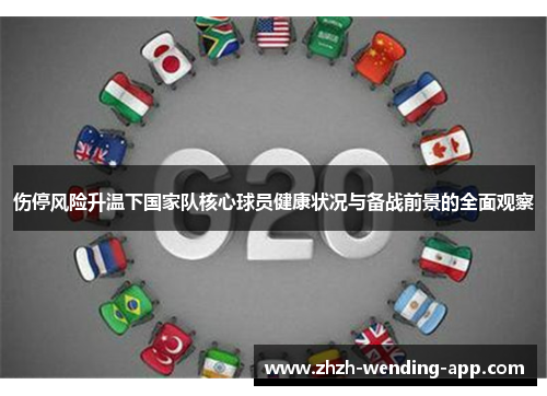 伤停风险升温下国家队核心球员健康状况与备战前景的全面观察